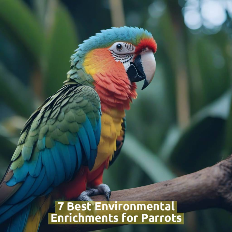 Image showcasing 7 Best Environmental Enrichments for Parrots - Pet Health Advisor