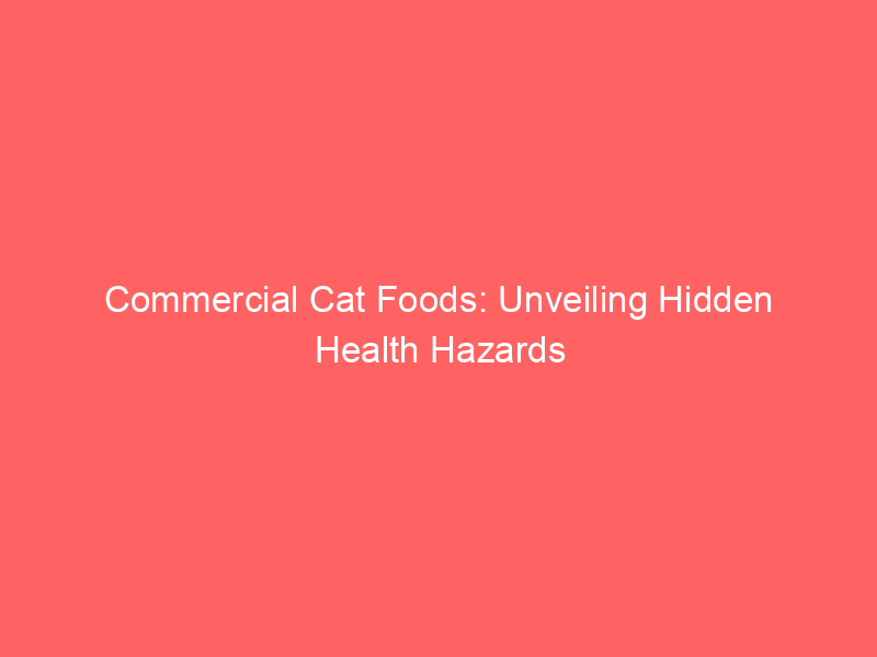 commercial cat foods unveiling hidden health hazards 5177