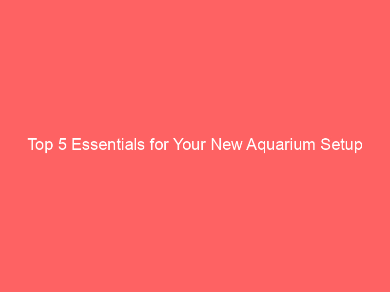 top 5 essentials for your new aquarium setup 5813