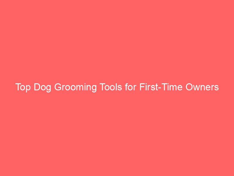 top dog grooming tools for first time owners 4573