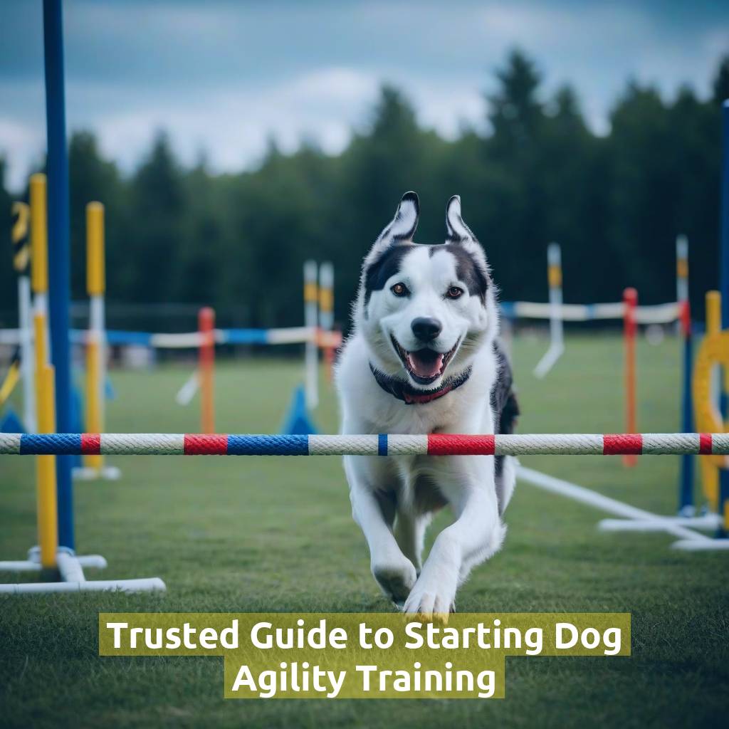 Trusted Guide to Starting Dog Agility Training