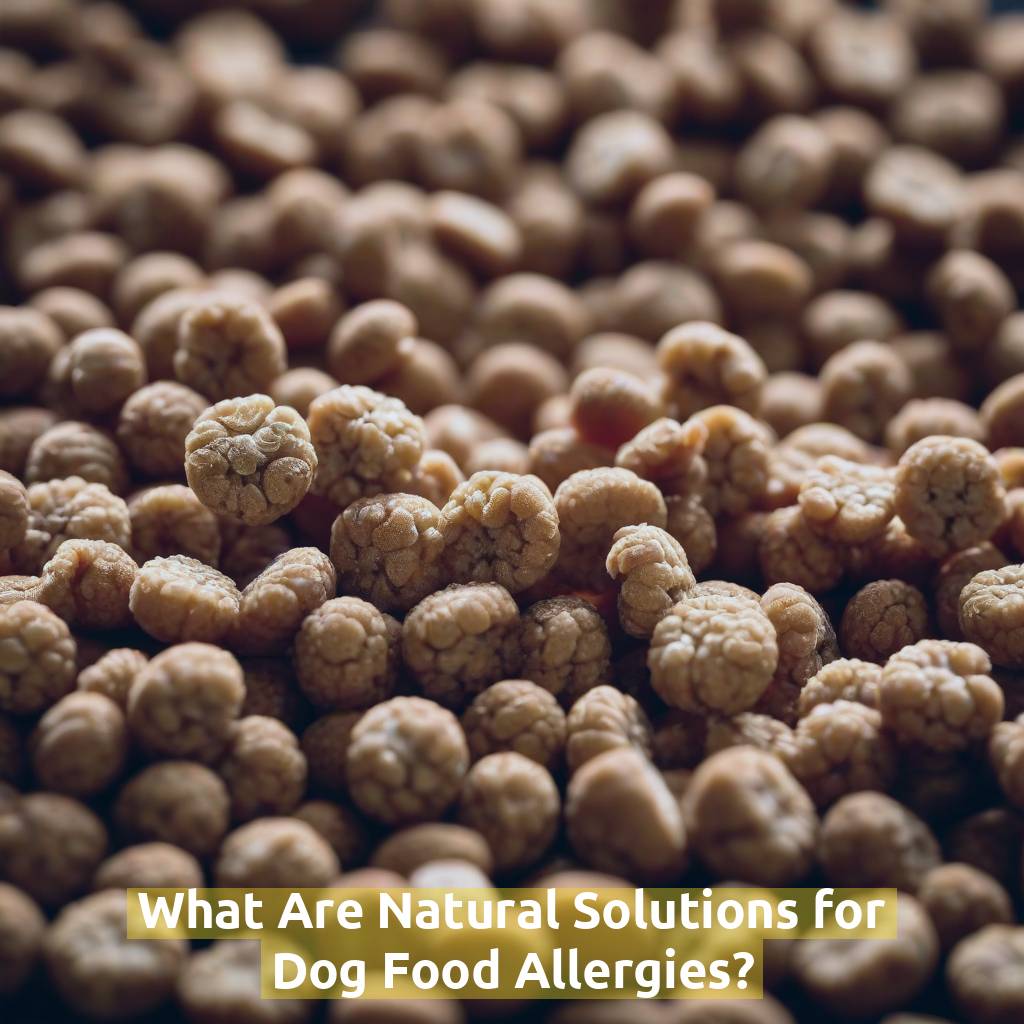 What Are Natural Solutions for Dog Food Allergies?