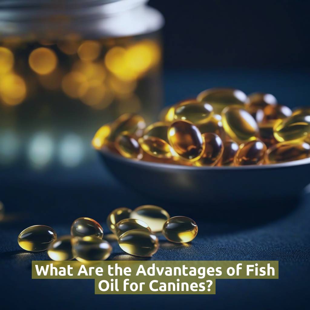 What Are the Advantages of Fish Oil for Canines?
