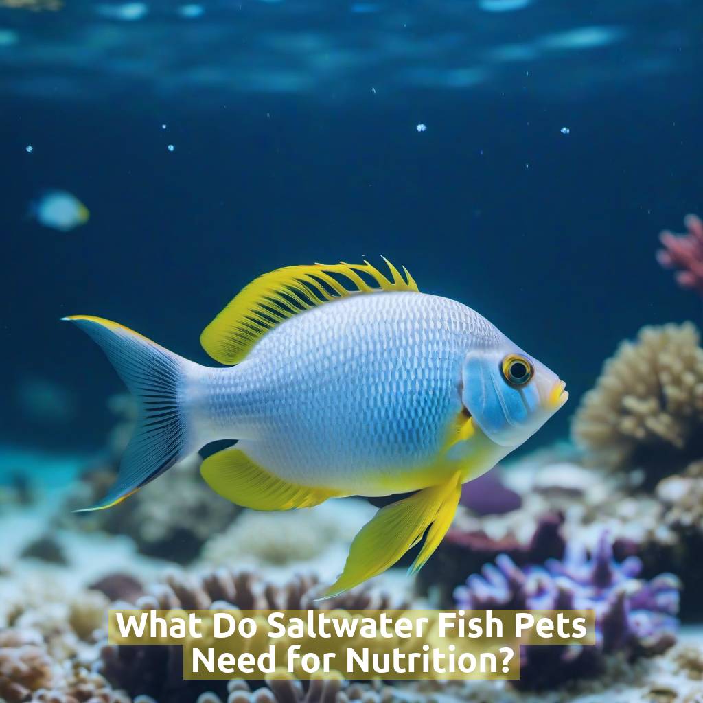 What Do Saltwater Fish Pets Need for Nutrition?