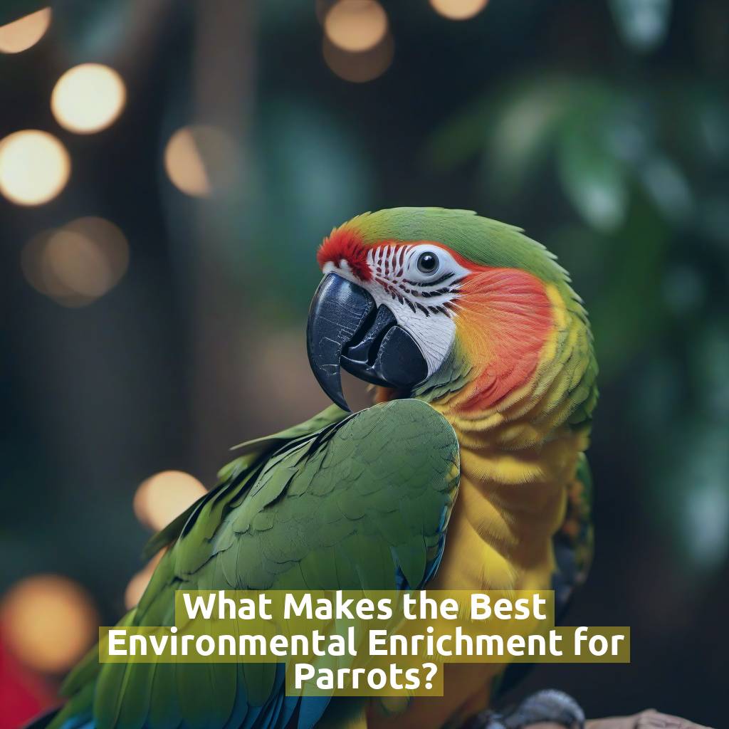 What Makes the Best Environmental Enrichment for Parrots?