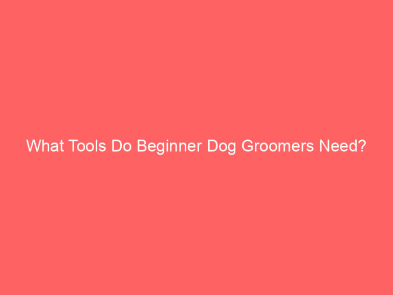 Image showcasing Schnauzer Dog Grooming Guide For Beginners: Step-by-Step At-Home ... - eBay