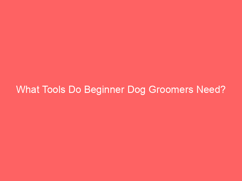 what tools do beginner dog groomers need 4572