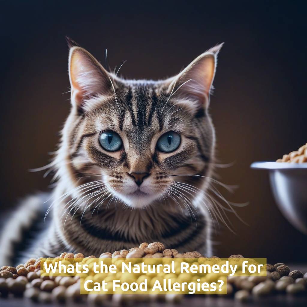 Whats the Natural Remedy for Cat Food Allergies?