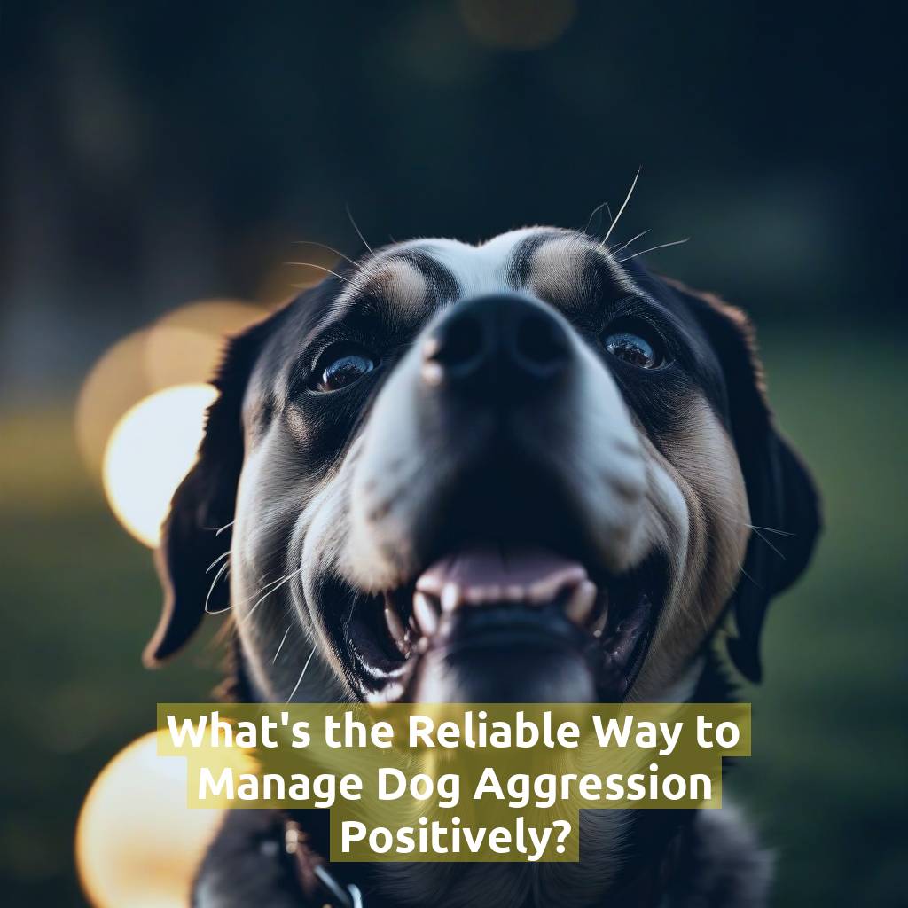 What's the Reliable Way to Manage Dog Aggression Positively?