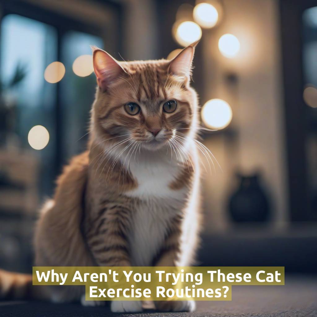 Why Aren't You Trying These Cat Exercise Routines?