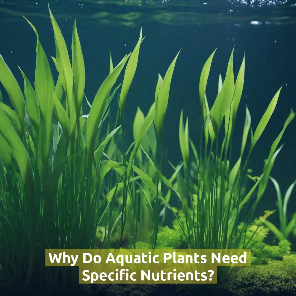 Why Do Aquatic Plants Need Specific Nutrients?