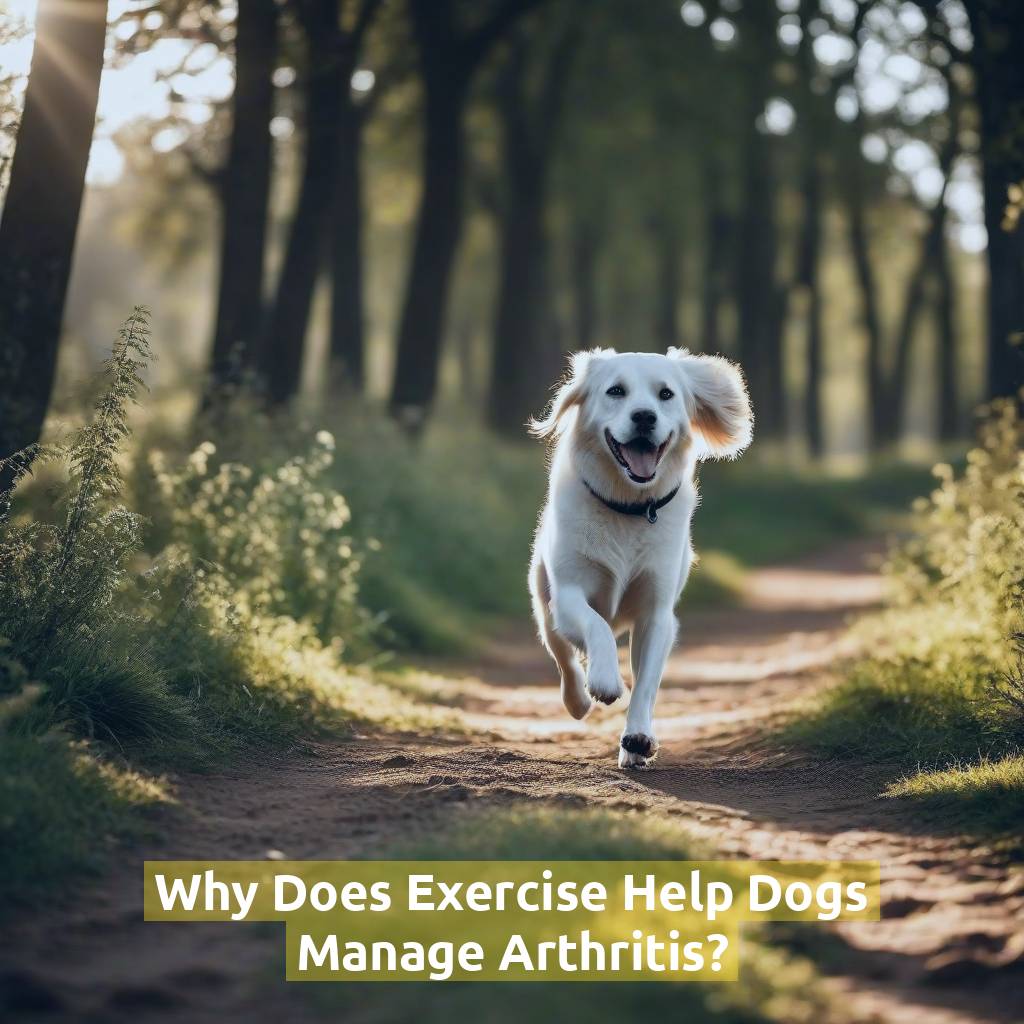 Why Does Exercise Help Dogs Manage Arthritis?
