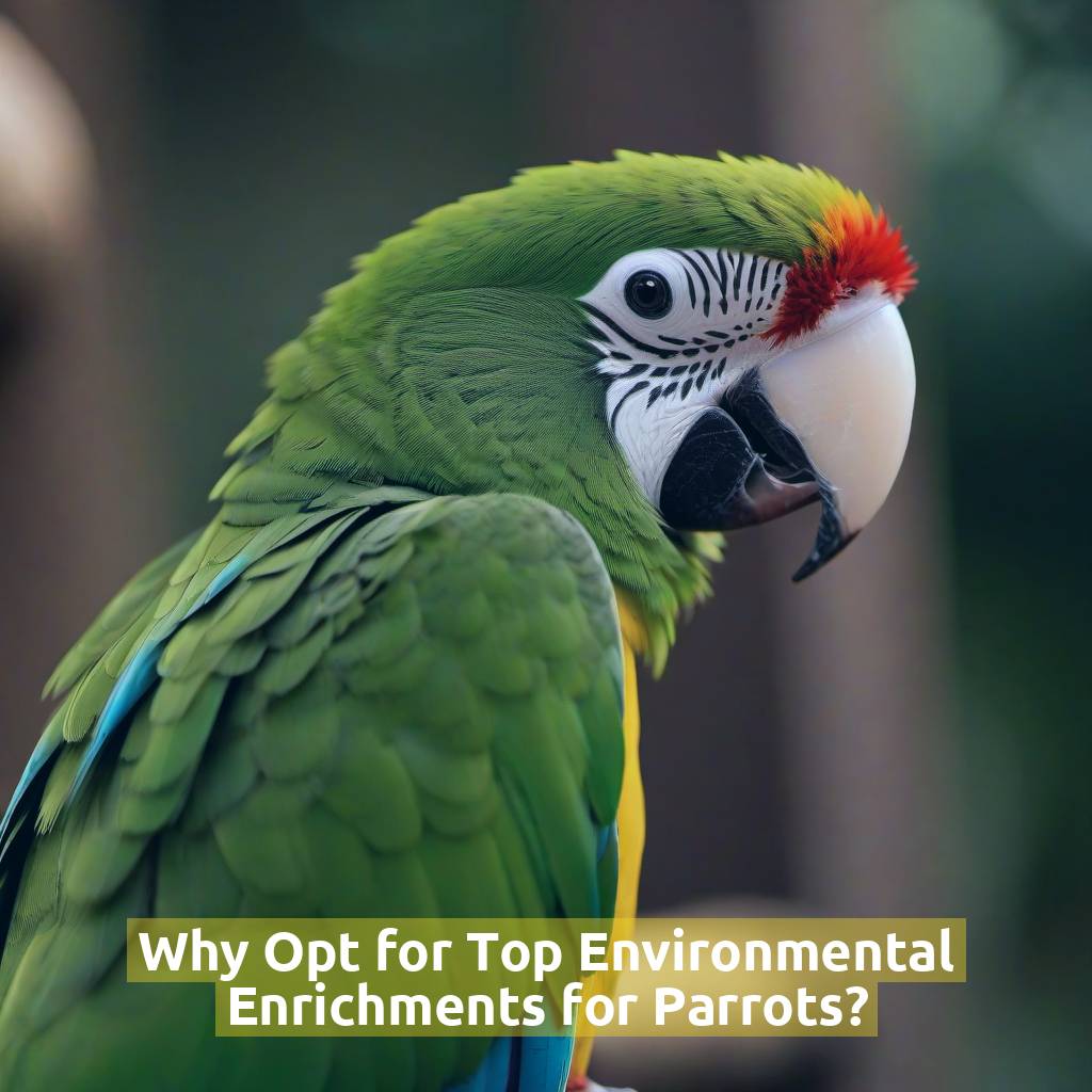 Why Opt for Top Environmental Enrichments for Parrots?