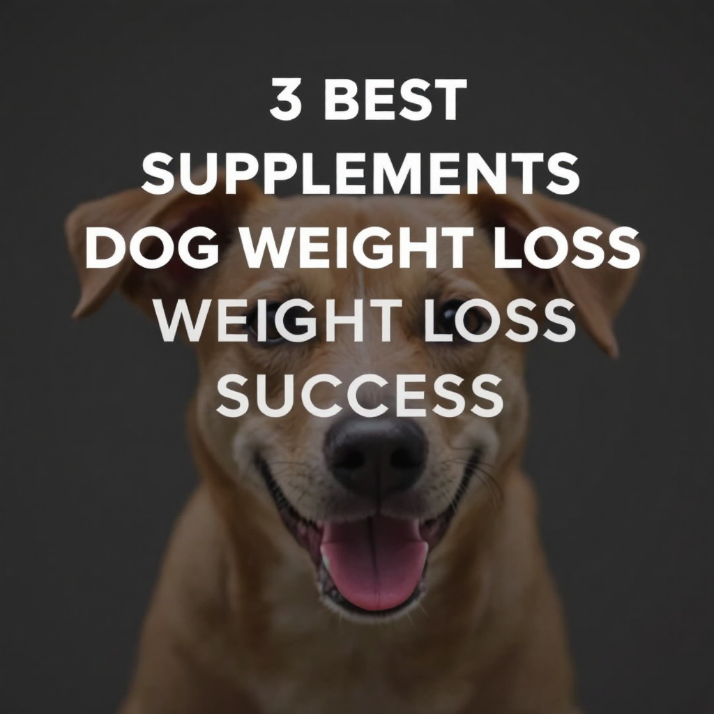 3 Best Supplements for Dog Weight Loss Success